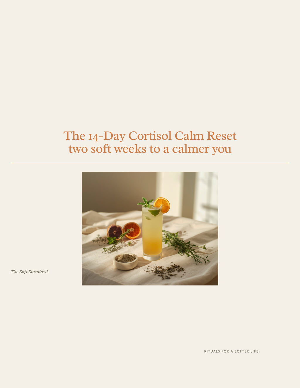 The Stress-Body Bundle — 14-Day Reset, Nourish & Move, and Talk Me Down